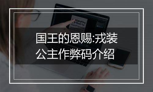 国王的恩赐:戎装公主作弊码介绍