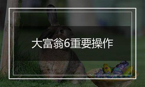 大富翁6重要操作