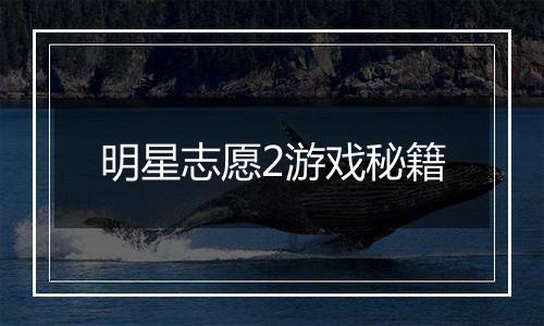 明星志愿2游戏秘籍