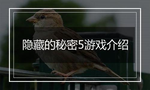 隐藏的秘密5游戏介绍