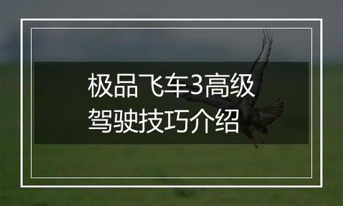 极品飞车3高级驾驶技巧介绍