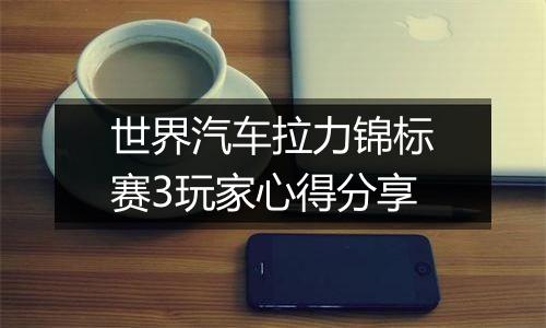 世界汽车拉力锦标赛3玩家心得分享