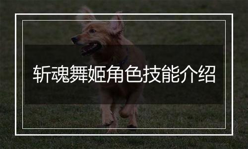 斩魂舞姬角色技能介绍