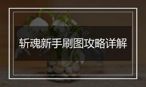 斩魂新手刷图攻略详解