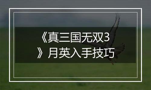 《真三国无双3》月英入手技巧