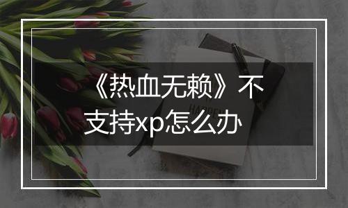 《热血无赖》不支持xp怎么办