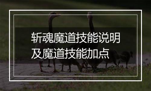 斩魂魔道技能说明及魔道技能加点