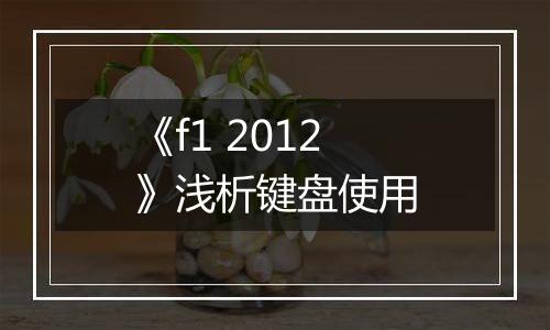 《f1 2012》浅析键盘使用