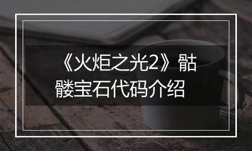 《火炬之光2》骷髅宝石代码介绍