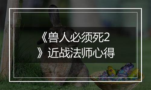 《兽人必须死2》近战法师心得