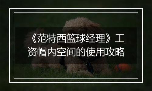 《范特西篮球经理》工资帽内空间的使用攻略