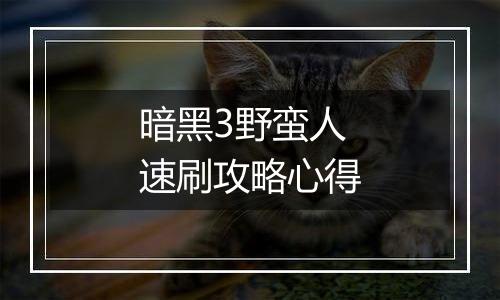 暗黑3野蛮人速刷攻略心得