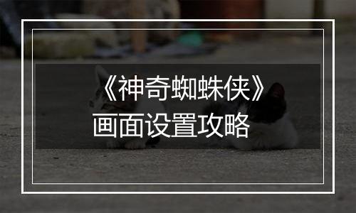 《神奇蜘蛛侠》画面设置攻略