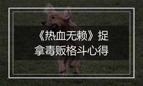 《热血无赖》捉拿毒贩格斗心得