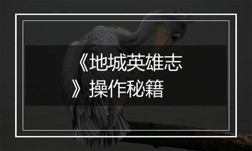 《地城英雄志》操作秘籍