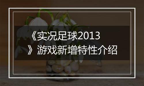 《实况足球2013》游戏新增特性介绍