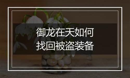 御龙在天如何找回被盗装备