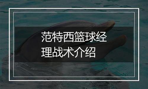 范特西篮球经理战术介绍