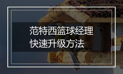 范特西篮球经理快速升级方法