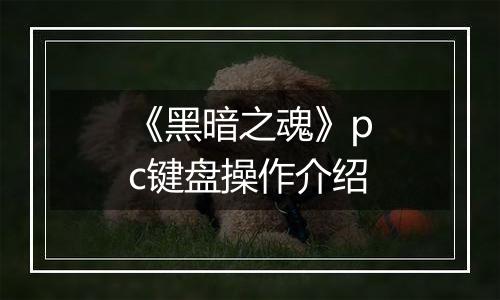 《黑暗之魂》pc键盘操作介绍