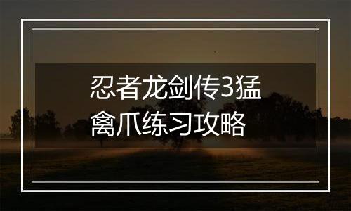 忍者龙剑传3猛禽爪练习攻略