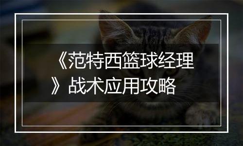 《范特西篮球经理》战术应用攻略