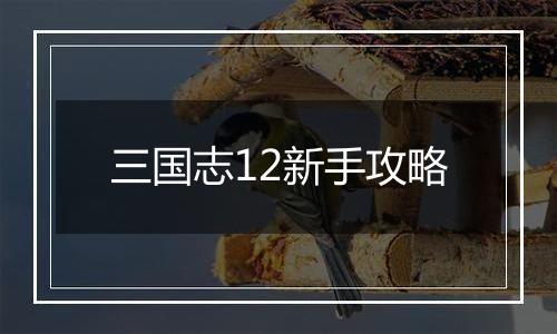 三国志12新手攻略