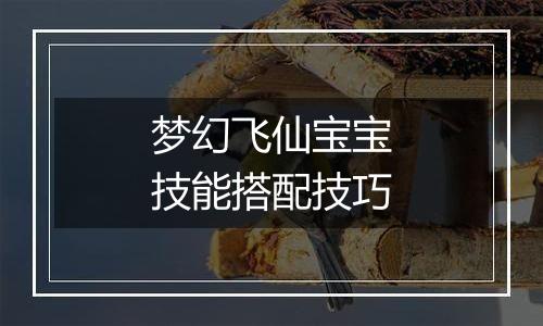 梦幻飞仙宝宝技能搭配技巧
