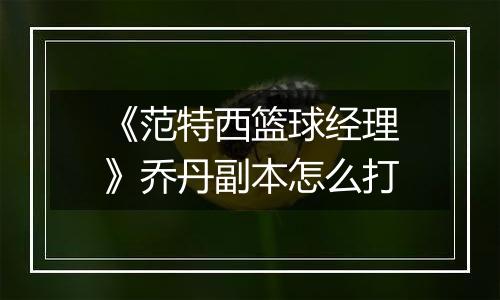 《范特西篮球经理》乔丹副本怎么打