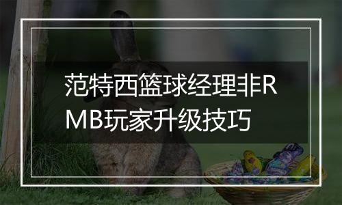 范特西篮球经理非RMB玩家升级技巧