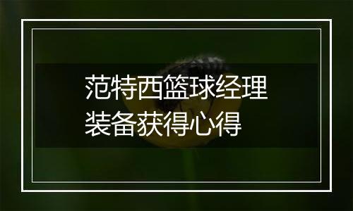 范特西篮球经理装备获得心得