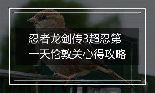 忍者龙剑传3超忍第一天伦敦关心得攻略