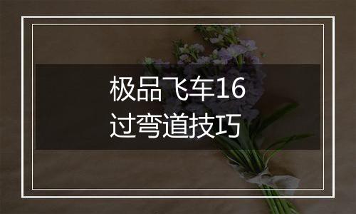 极品飞车16过弯道技巧