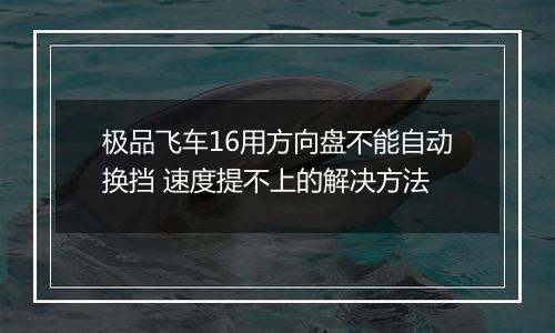 极品飞车16用方向盘不能自动换挡 速度提不上的解决方法