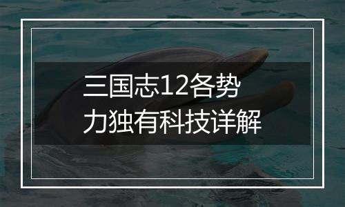 三国志12各势力独有科技详解