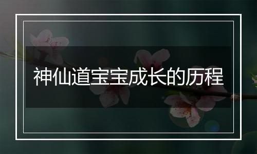 神仙道宝宝成长的历程