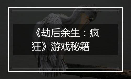《劫后余生：疯狂》游戏秘籍