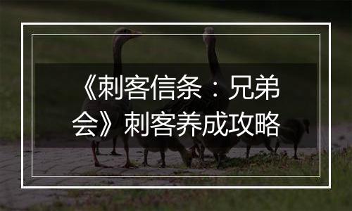 《刺客信条：兄弟会》刺客养成攻略