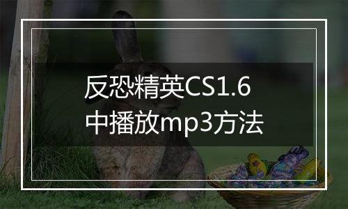 反恐精英CS1.6中播放mp3方法