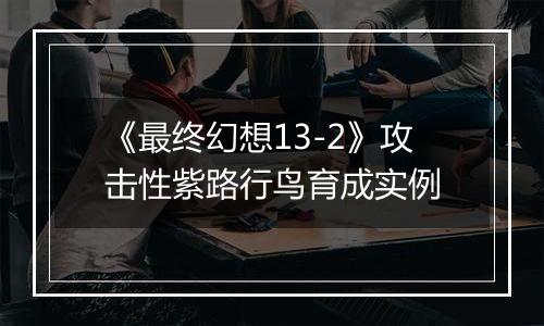 《最终幻想13-2》攻击性紫路行鸟育成实例
