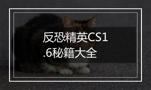 反恐精英CS1.6秘籍大全
