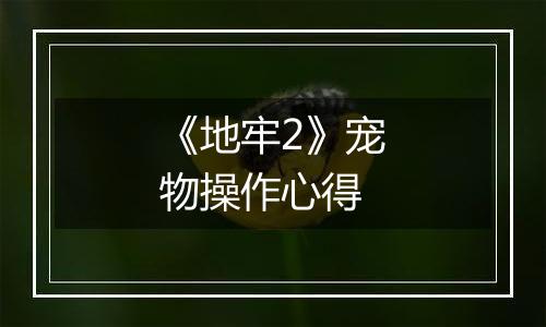《地牢2》宠物操作心得