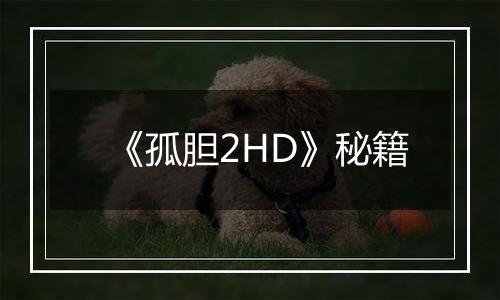 《孤胆2HD》秘籍
