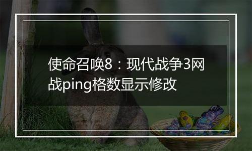 使命召唤8：现代战争3网战ping格数显示修改