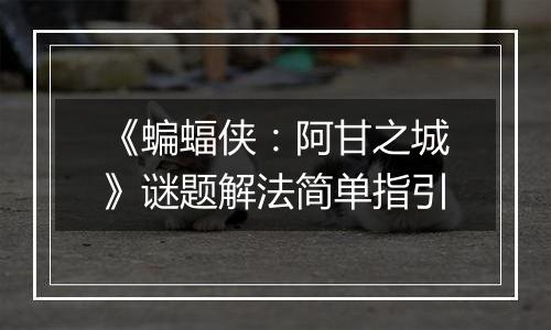《蝙蝠侠：阿甘之城》谜题解法简单指引