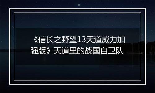 《信长之野望13天道威力加强版》天道里的战国自卫队