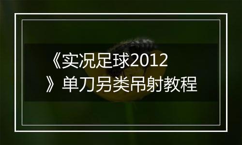 《实况足球2012》单刀另类吊射教程