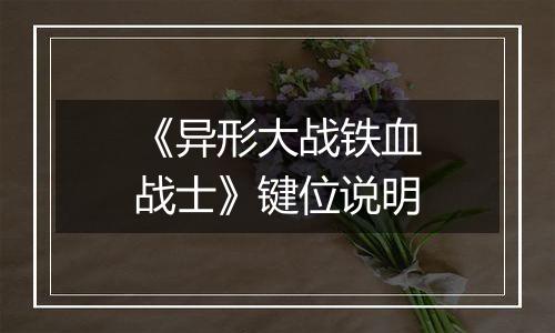 《异形大战铁血战士》键位说明