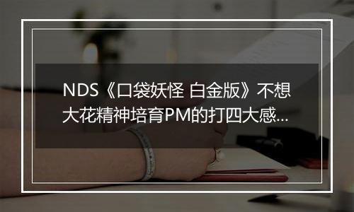 NDS《口袋妖怪 白金版》不想大花精神培育PM的打四大感想