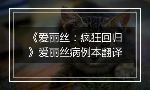 《爱丽丝：疯狂回归》爱丽丝病例本翻译